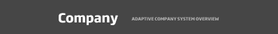 Company - ADAPTIVE COMPANY SYSTEM OVERVIEW