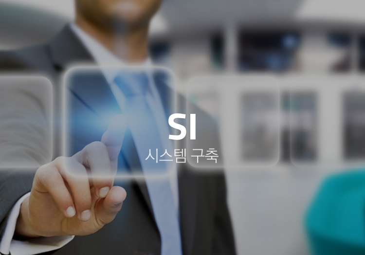 SI (시스템구축)